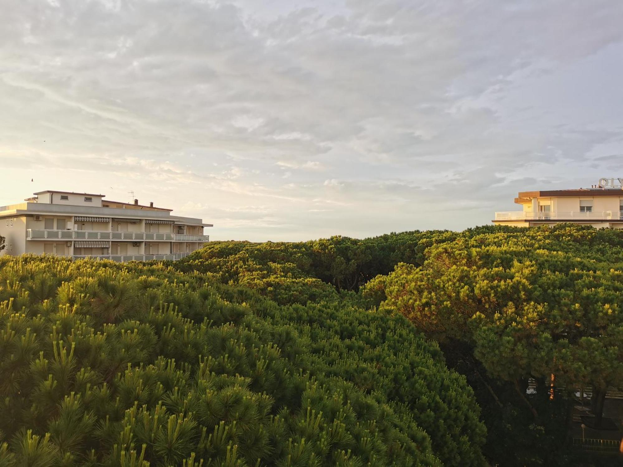 רוסולינה מארה Hotel Pine Beach מראה חיצוני תמונה